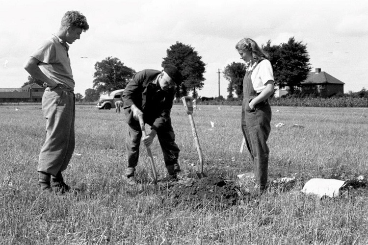 Broadbalk Soil sampling - 1943