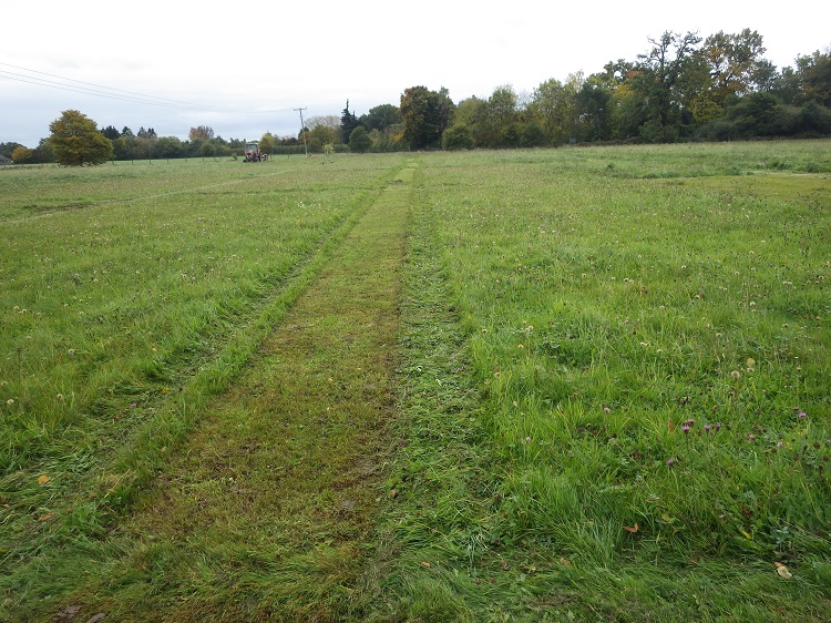 Park Grass - 2015 2nd cut strip