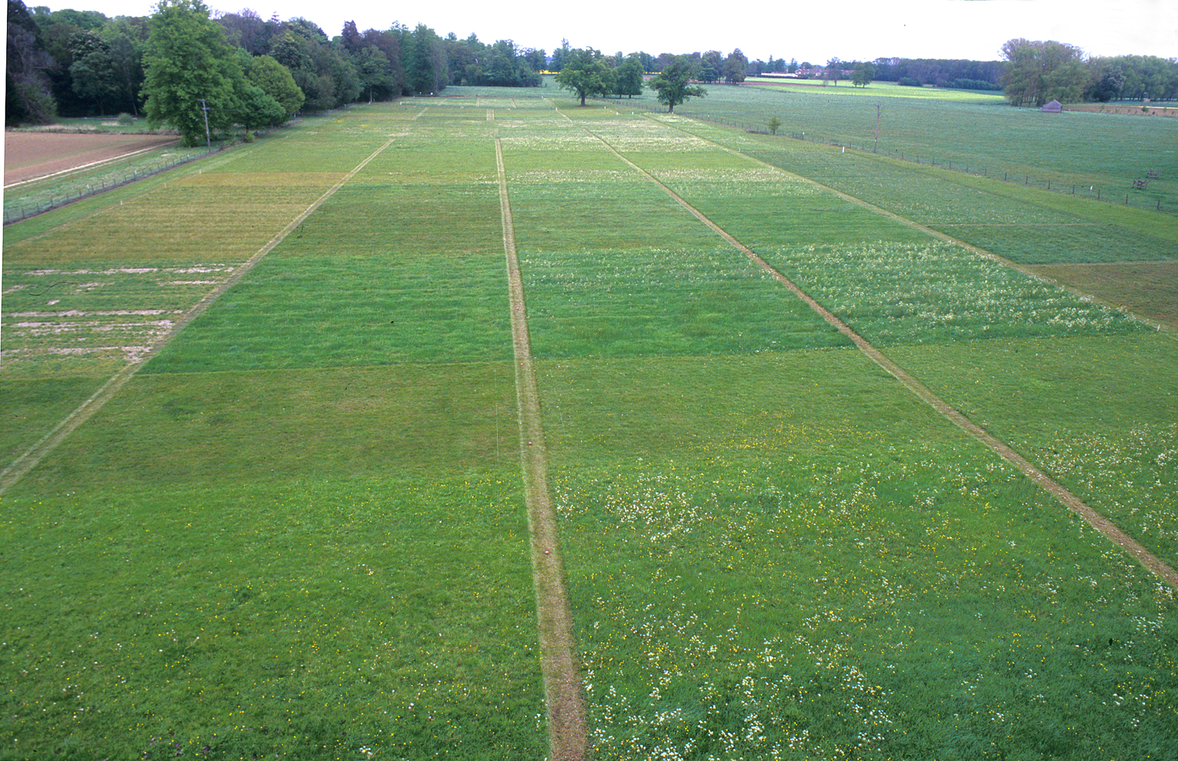 Park Grass aerial