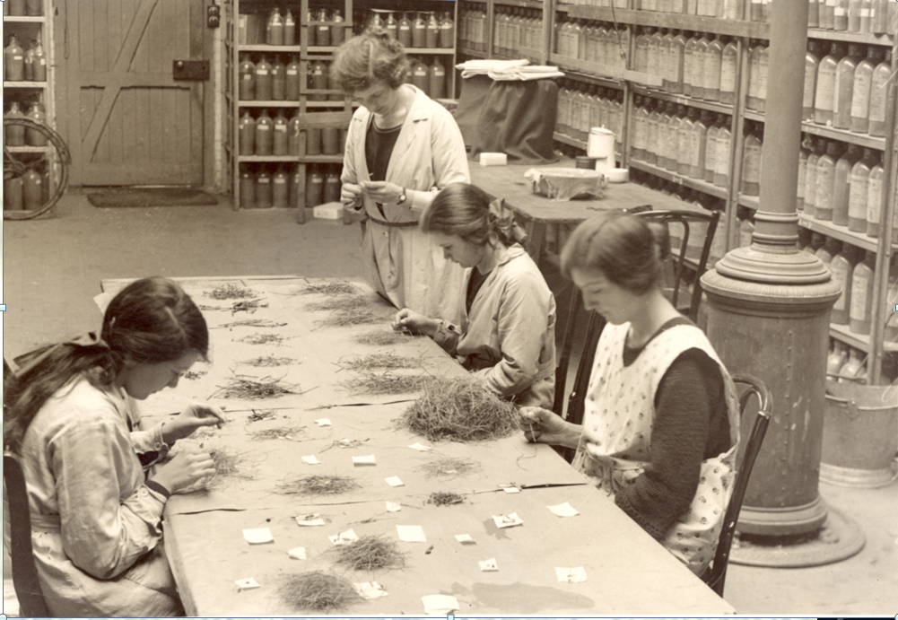 Park Grass sorting - 1930
